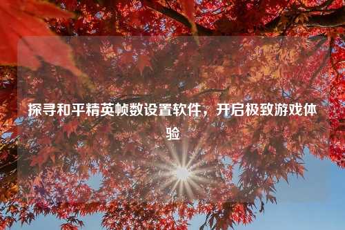 探寻和平精英帧数设置软件，开启极致游戏体验