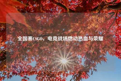 全国赛CSGO，电竞战场燃动热血与荣耀