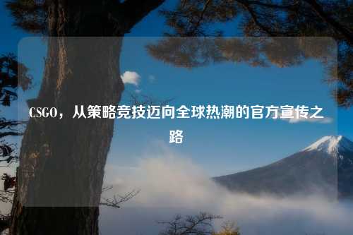 CSGO，从策略竞技迈向全球热潮的官方宣传之路