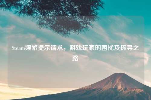 Steam频繁提示请求，游戏玩家的困扰及探寻之路