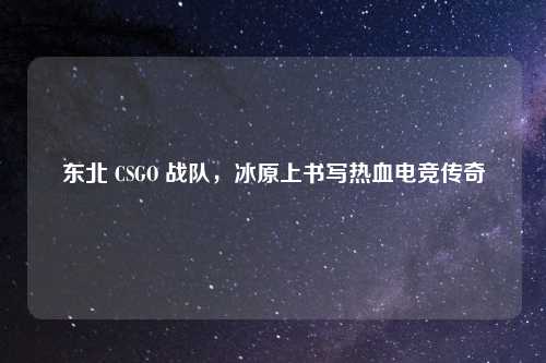 东北 CSGO 战队，冰原上书写热血电竞传奇