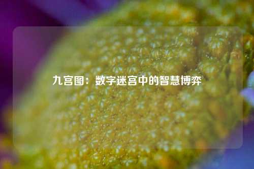 九宫图：数字迷宫中的智慧博弈