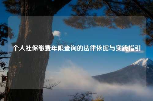 个人社保缴费年限查询的法律依据与实践指引
