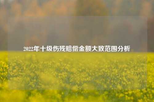 2022年十级伤残赔偿金额大致范围分析
