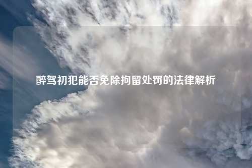 醉驾初犯能否免除拘留处罚的法律解析